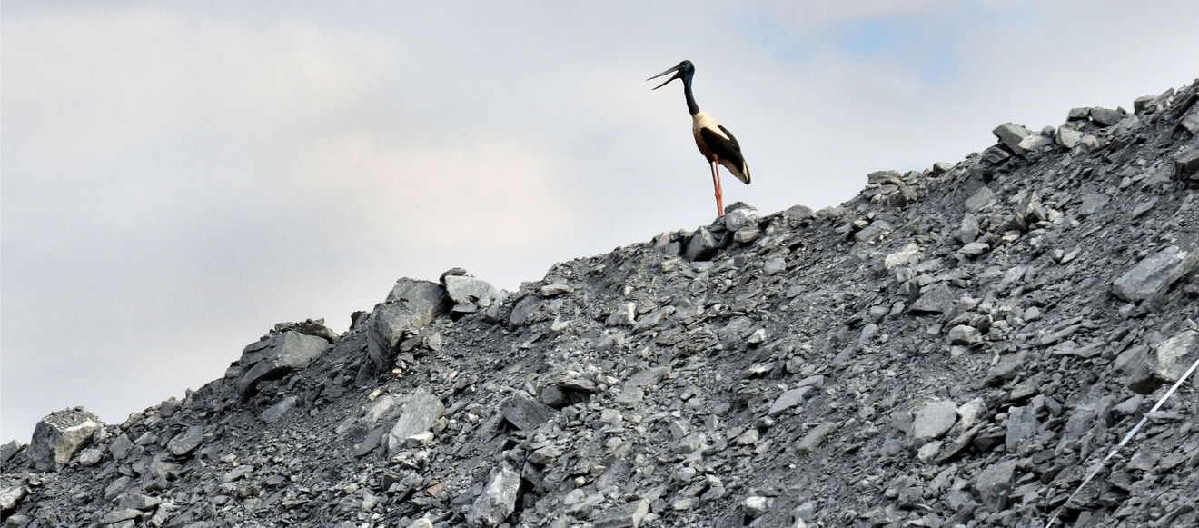 C9a6105ec056823ac1cc8244703ace702dff9c66